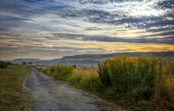 Road, field, landscape, sunset, style