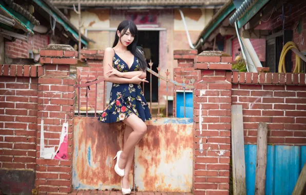 Picture look, model, the fence, portrait, brick, makeup, dress, brunette