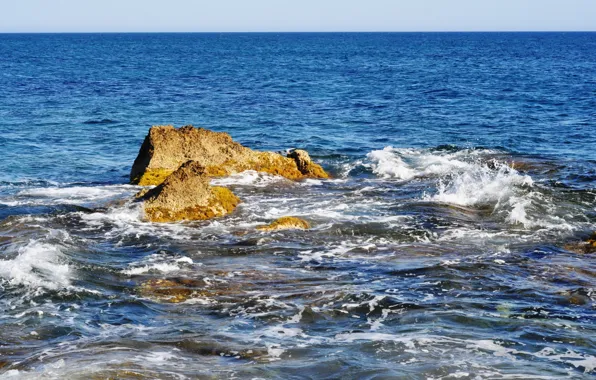 Picture sea, wave, algae, stones