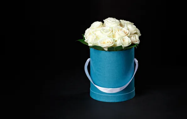 Background, box, roses, white