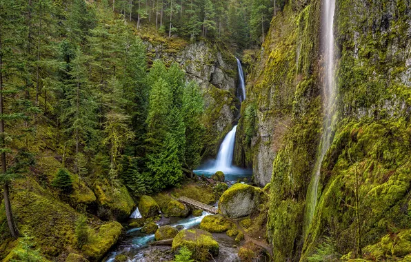 Oregon, USA, USA, Oregon, Columbia, Colombia, River Gorge, Wahclella Falls