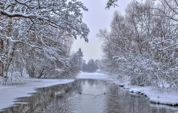 Winter, trees, nature, river