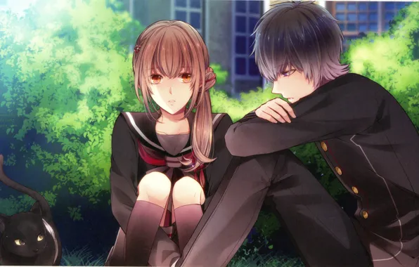 The conversation, on the street, students, visual novel, black cat, in the garden, the guy …