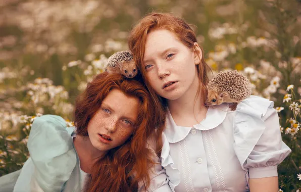 Picture children, girls, chamomile, freckles, hedgehogs