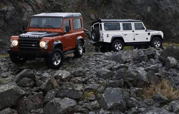Picture stones, Land Rover, 2009, Defender, Limited Edition