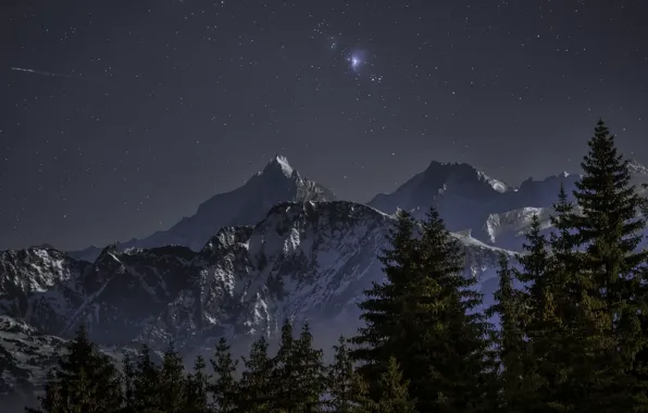 Download wallpaper winter, forest, the sky, stars, snow, mountains ...