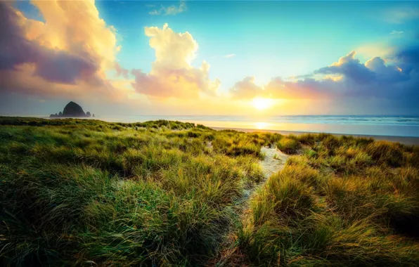 Picture sea, beach, the sky, the sun, clouds, Grass, the bushes