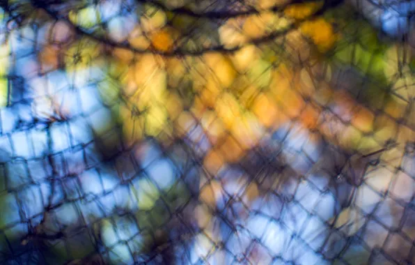 Picture grille, bokeh, the gaps