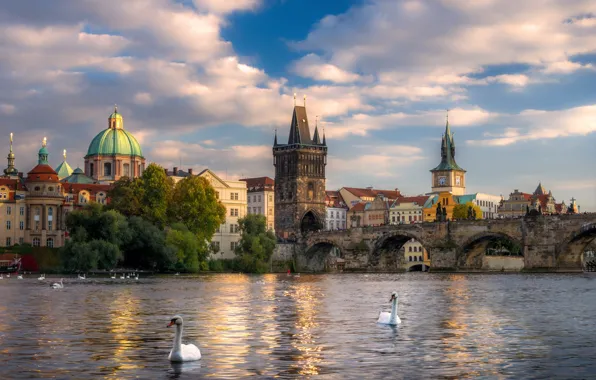 Picture birds, bridge, the city, river, building, home, Prague, Czech Republic