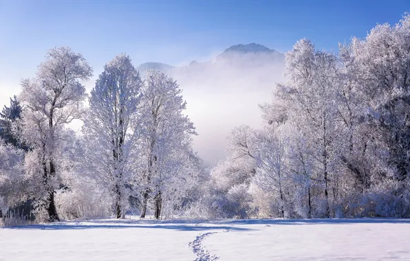 Picture winter, snow, trees, landscape, mountains, nature, fog, Germany