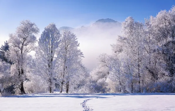 Winter, snow, trees, landscape, mountains, nature, fog, Germany
