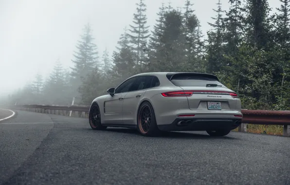 Porsche, Panamera, Road, Porsche Panamera, Fog, Forest