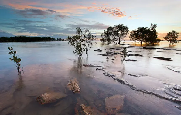 Summer, trees, landscape, nature, river
