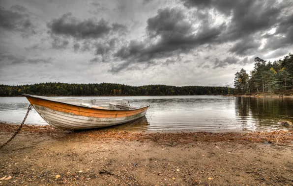 Picture forest, the sky, clouds, river, boat