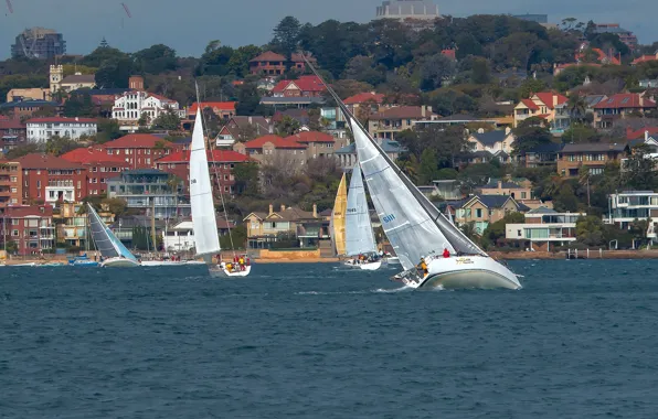 Building, yachts, Australia, Sydney, Australia, Sydney, regatta, Sydney Harbour