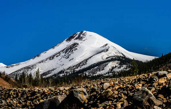 Winter, autumn, forest, the sky, snow, mountains, blue, stones
