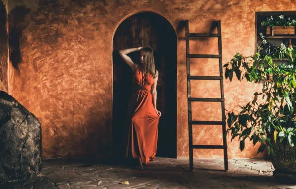 Picture girl, pose, dress, ladder, Andrew Incognito