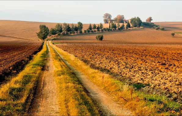 Road, field, the sky, trees, house, hills, arable land