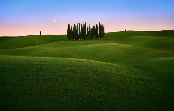 Picture field, the sky, grass, trees, Italy, Tuscany