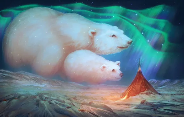 Snow, mountains, Northern lights, bears, MariLucia