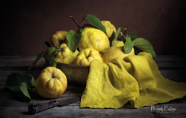 Fabric, bowl, still life, quince