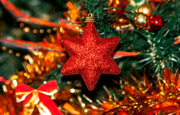 Holiday, star, tree, decoration
