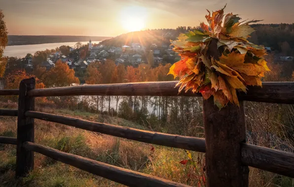 Picture nature, Volga, home, hill, Plyos, the city, leaves, autumn