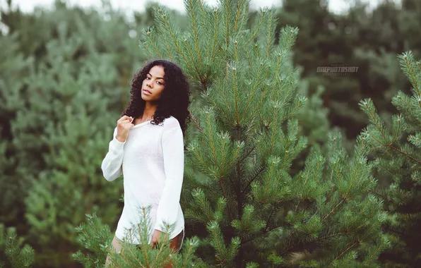 Girl, trees, pine