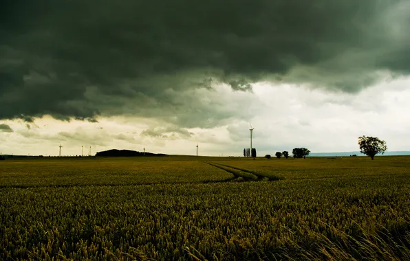 Picture road, field, trees, landscape, clouds, nature, the wind, types