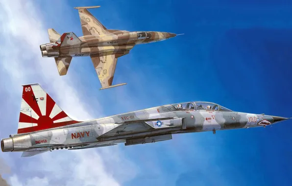 Wallpaper Tiger II, Northrop Corporation, the second generation F-5, American light multi-role fighter, squadron "Aggressor", VFC-111, …