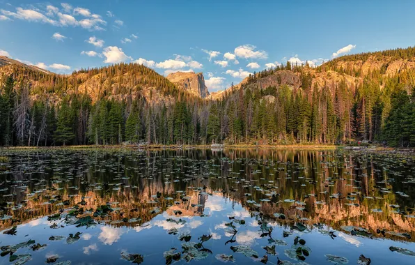 Forest, clouds, light, mountains, lake, reflection, blue, shore