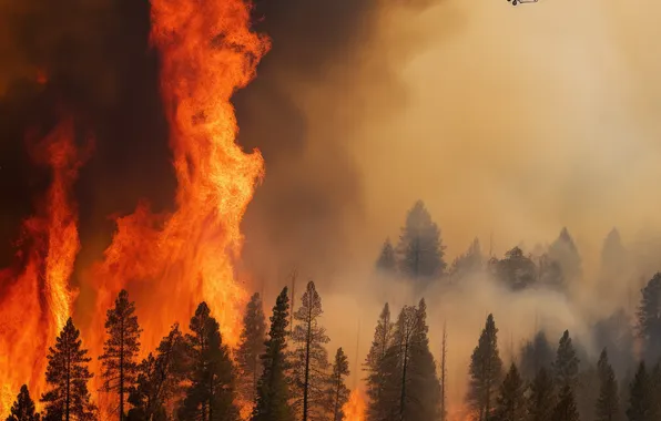 Trees, Smoke, Fire, Forest, Fire, Helicopter, Digital art, AI art