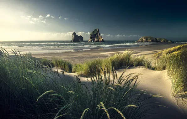 Picture sea, shore, rocks, sand