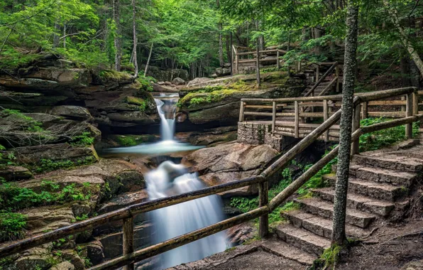 Picture Waterfall, Beauty, Perilla