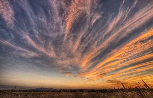 Field, the sky, clouds, sunset, 157