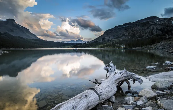 Trees, landscape, mountains, lake