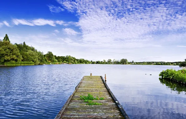 Picture FOREST, HORIZON, The SKY, PIER, PIERCE, SHORE, POND, LAKE