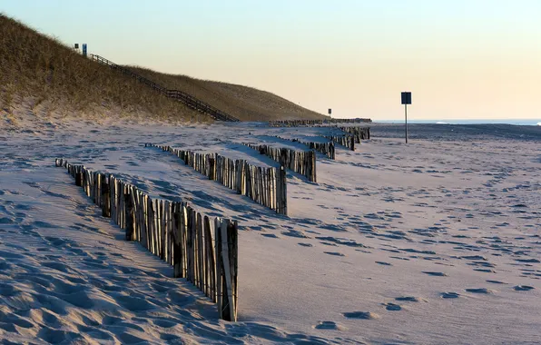 Beach, landscape, morning