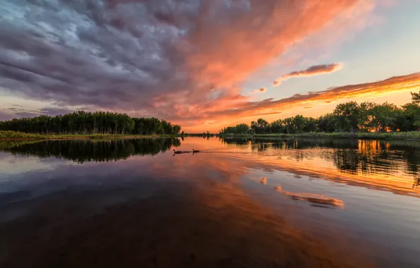 Forest, the sky, clouds, trees, sunset, river, USA, Colorado