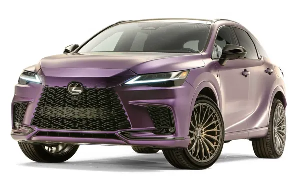 Lexus, Lexus, 2022, Lexus RX500h Sport Performance