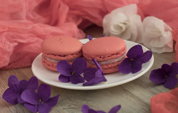 Flowers, cakes, violet, macaroon
