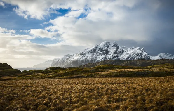 Picture the sky, grass, clouds, snow, mountains, lake