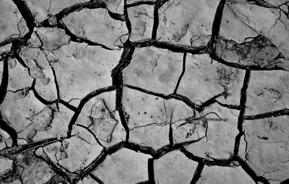 Picture macro, nature, earth, the rift, crack