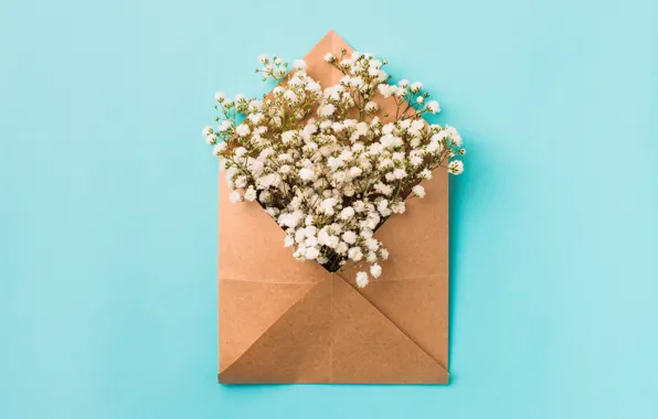 Flowers, background, white, white, flowers, the envelope, spring