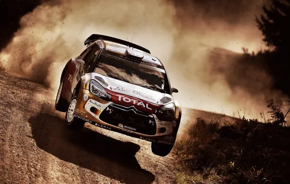 Picture jump, shadow, dust, gravel, wrc, citroen, Citroen, ds3