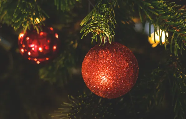 Picture winter, balls, holiday, new year, Christmas, needles, Christmas decorations, new year decorations