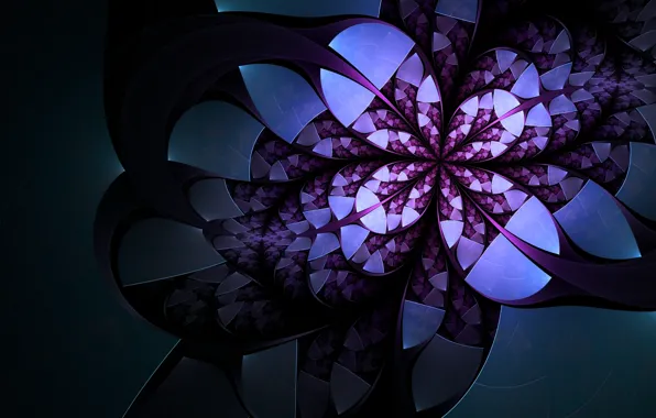White, flower, purple, abstraction, the dark background