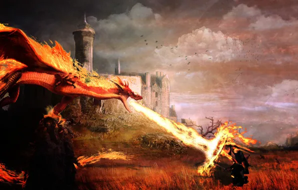 Landscape, battle, knight, Dragons, dragons, Dragon's Prophet