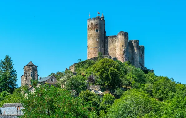 Picture greens, the sky, the sun, trees, castle, hills, France, tower