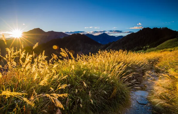 Summer, the sky, grass, the sun, clouds, rays, light, landscape